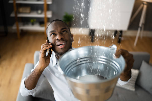 Best Water damage restoration insurance claims  in Green Tree, PA