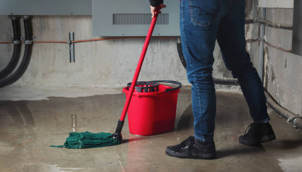 Best Professional water damage repair  in Green Tree, PA