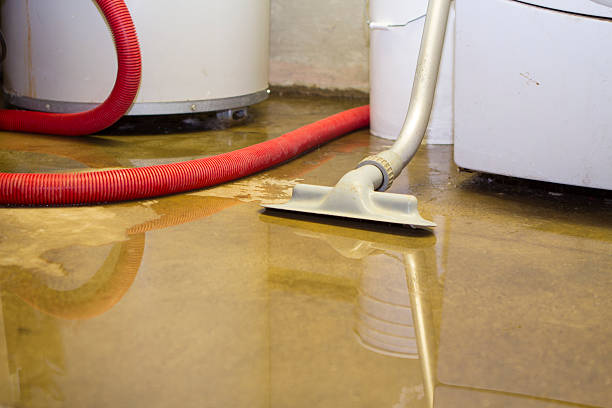 Best Sewage cleanup and water damage restoration  in Green Tree, PA