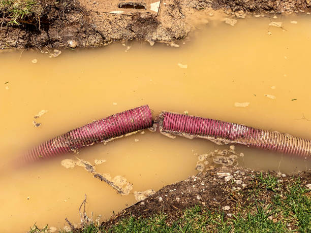 Best Emergency water damage restoration  in Green Tree, PA