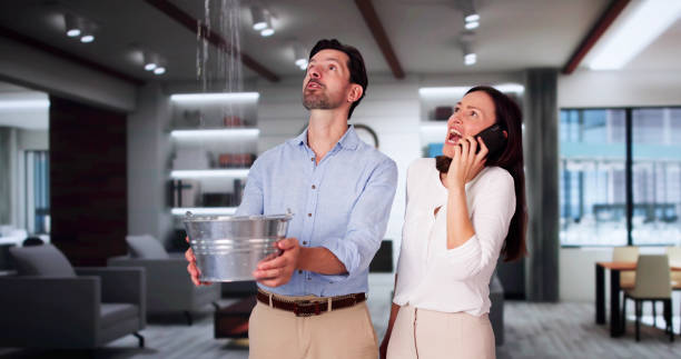 Best Commercial water damage restoration  in Green Tree, PA